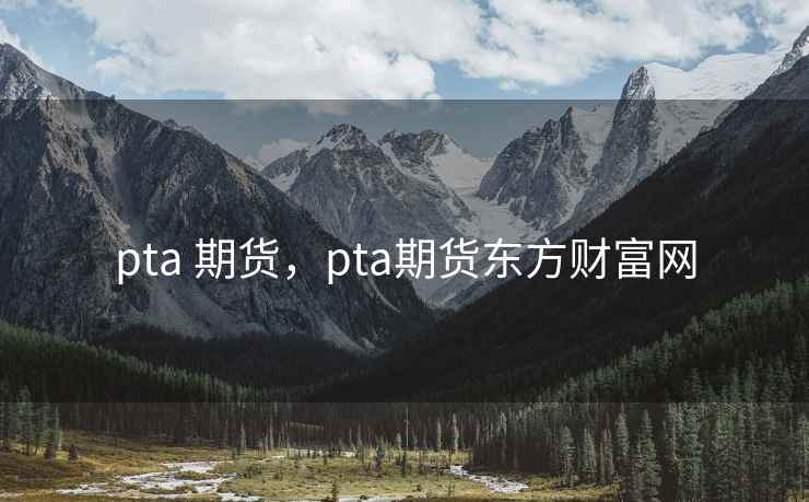 pta 期货，pta期货东方财富网  第2张