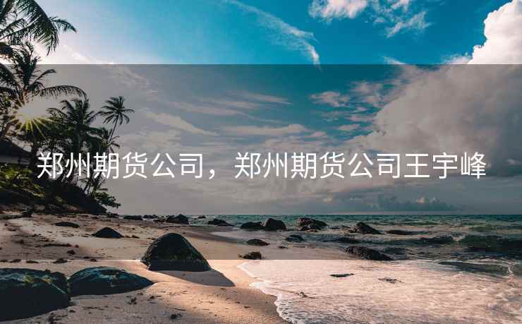 郑州期货公司，郑州期货公司王宇峰