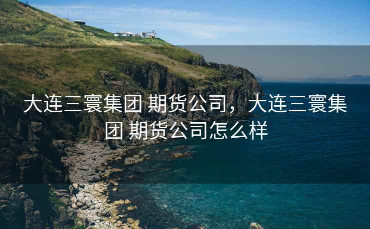 大连三寰集团 期货公司，大连三寰集团 期货公司怎么样  第2张