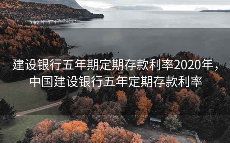 建设银行五年期定期存款利率2020年，中国建设银行五年定期存款利率