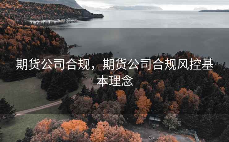 期货公司合规，期货公司合规风控基本理念