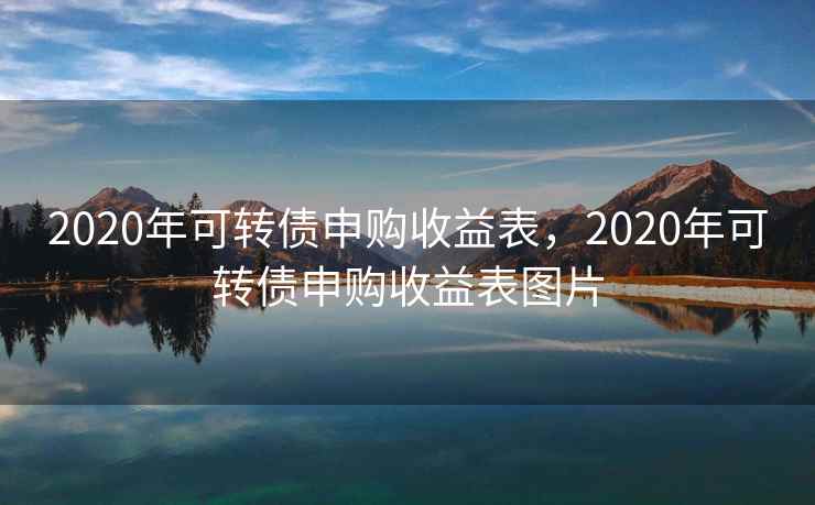 2020年可转债申购收益表，2020年可转债申购收益表图片  第2张