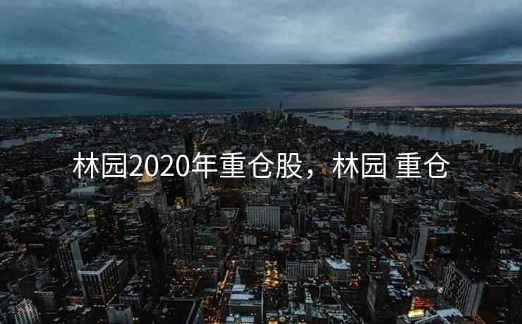 林园2020年重仓股，林园 重仓