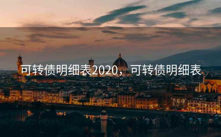 可转债明细表2020，可转债明细表