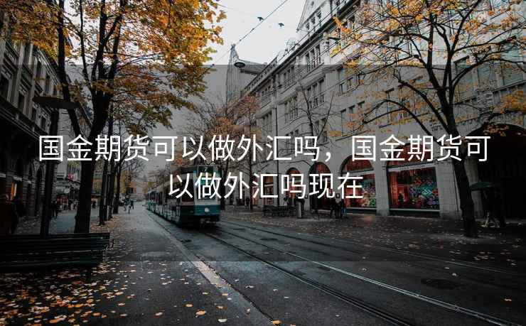 国金期货可以做外汇吗，国金期货可以做外汇吗现在