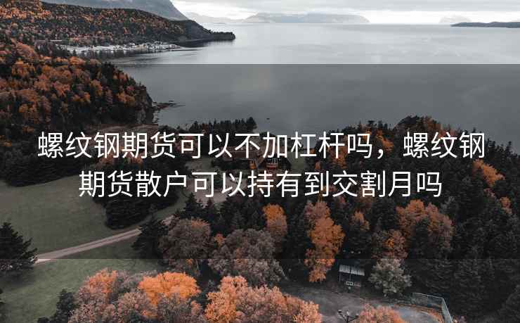 螺纹钢期货可以不加杠杆吗，螺纹钢期货散户可以持有到交割月吗