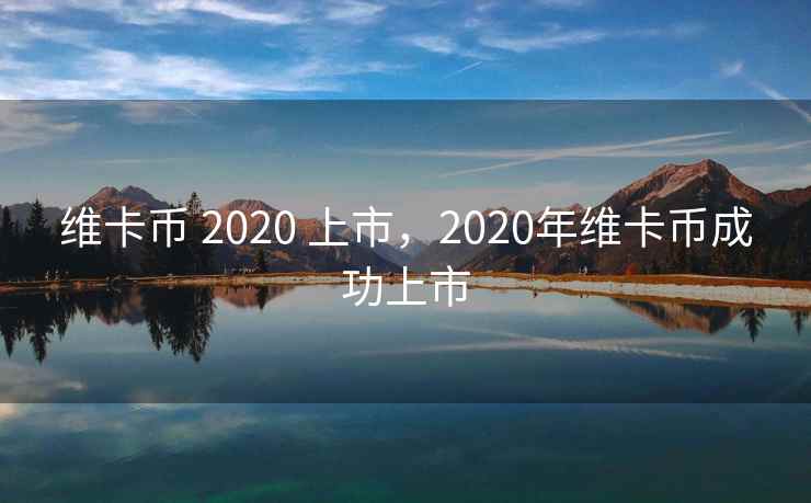 维卡币 2020 上市，2020年维卡币成功上市  第1张