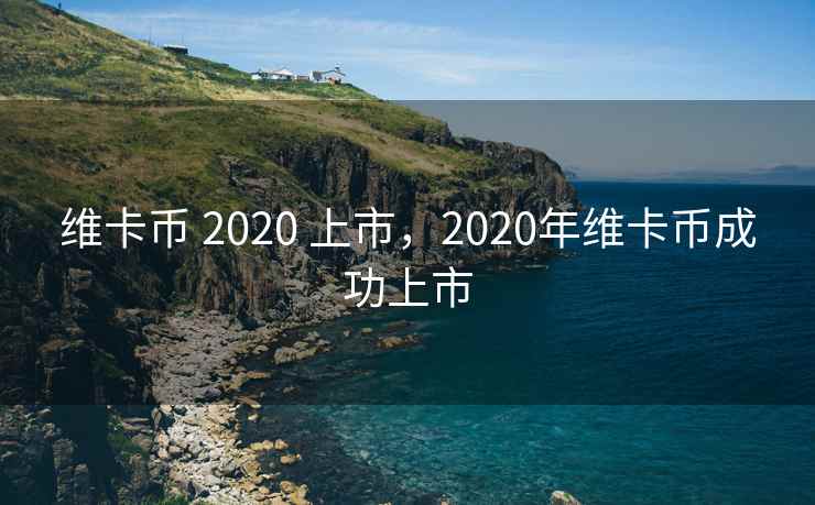维卡币 2020 上市，2020年维卡币成功上市  第2张