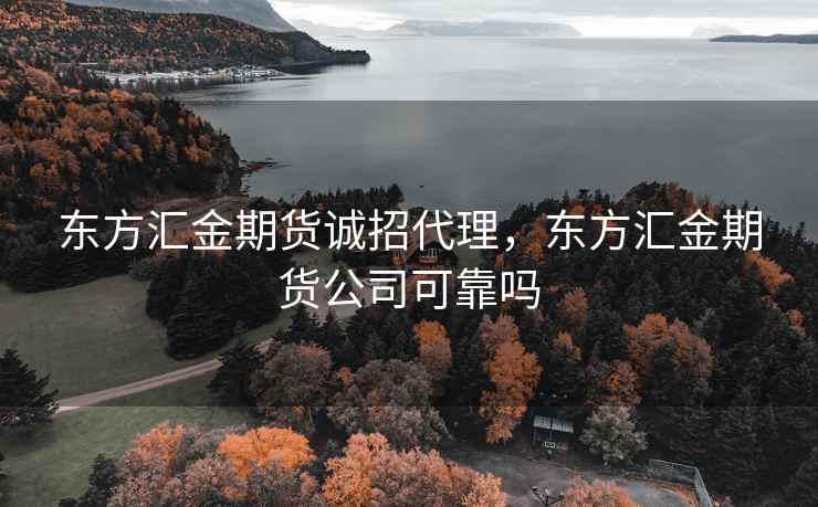 东方汇金期货诚招代理，东方汇金期货公司可靠吗