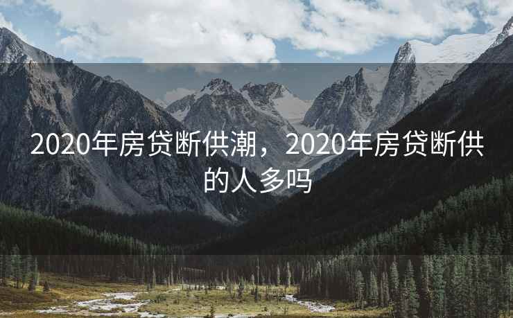 2020年房贷断供潮，2020年房贷断供的人多吗