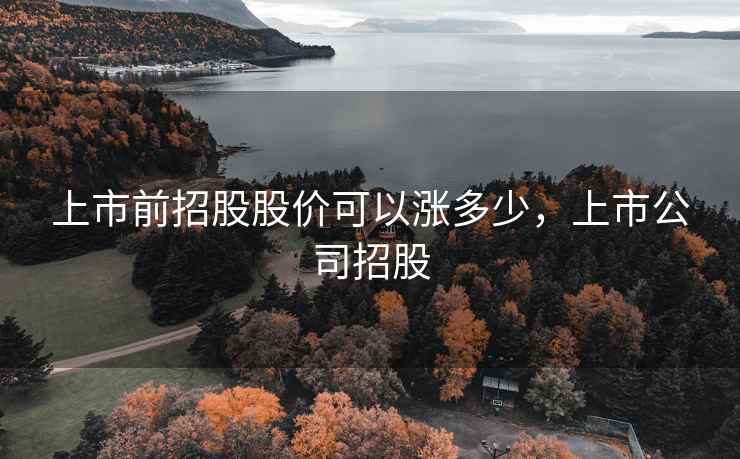 上市前招股股价可以涨多少，上市公司招股
