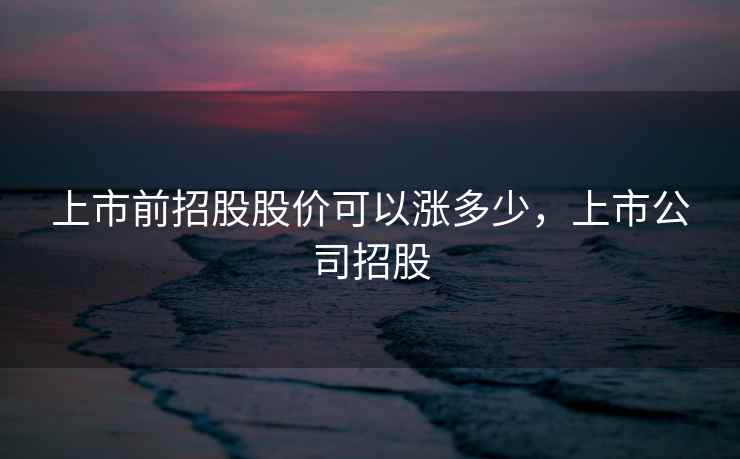 上市前招股股价可以涨多少，上市公司招股